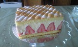 2008apr.17達人ケーキ