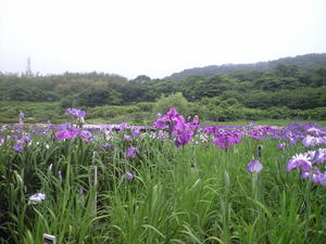 2010ǯ6��15�����ܲ�Գ��ࣲ