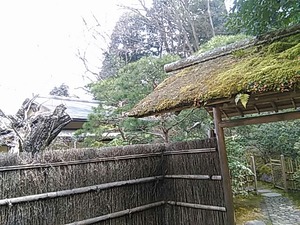 IMG_20180228_110734