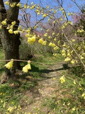 CE7F1ECE-CA35-4E40-AA20-5B4EFF80DF33