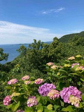 D3180EC0-8DFF-4260-AC6E-FD381128D9BA