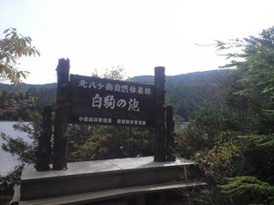 2010年10月17日白駒池