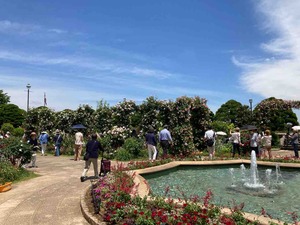 3493DF74-5FF4-4912-B45E-AD6BE10E55D5