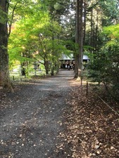 IMG_1592
