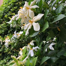 IMG_7493