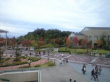 2008年11月8日 学園祭と紅葉