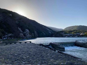 8F4188A0-E5C2-4153-93C6-06EBD8F5E086