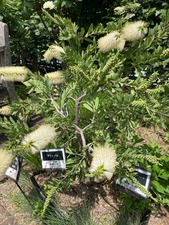 63D38582-2036-4461-8014-DCA757361F47