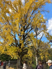 A5677723-E9C8-4219-9B54-7991ADA84A1B