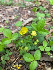 88BE6800-7D96-4A68-92E7-7AEA5030ABEB