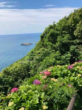 3FF74EE9-7938-4E78-B6A1-222AC91DD759