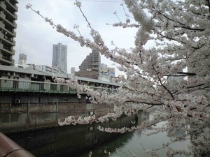 携帯から取込 015