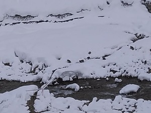 IMG_20170131_092353