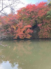 265C156A-A5B3-428C-8047-7F75F1D9651E