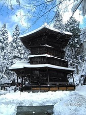 2017-12-14���ż㾾������Ʋ