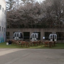 IMG_20210422_165147_930