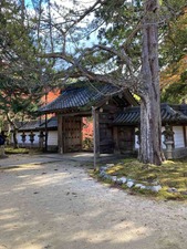 C492CA39-33C4-41CB-B8D3-1B70B2EB6520