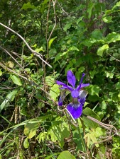 IMG_0854