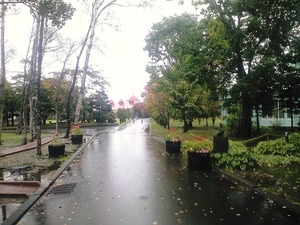 2011年10月07日_CA390319