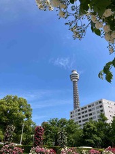 9E35C485-5DED-4785-8633-89C55F399307