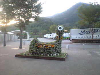 2009年10月13日談合坂の花あひる