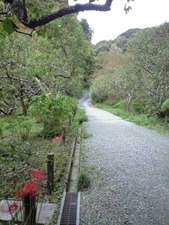 瑞泉寺 下の庭園