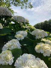 7D16A87F-C771-4F75-9609-8ABFAF5386E3