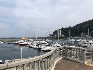 IMG_0234