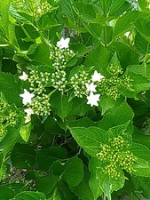 IMG_20180519_140609