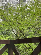 C550EFF1-39C4-4D10-AEC1-5900885EB116