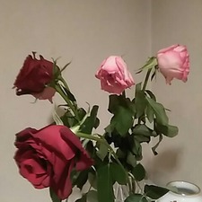 IMG_20170531_195740_285