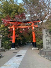 676F9EE8-3F48-4256-AD59-544DB2C4BA58