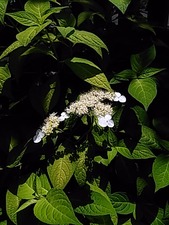 IMG_20170603_112827