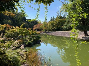 IMG_1242