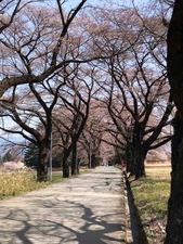 IMG_7320