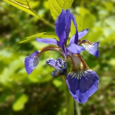 IMG_20200608_134730_537