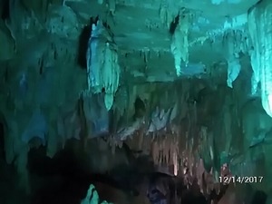 2017-12-14���֤���ƶ