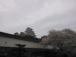 NCM_0354