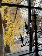 1C369B1A-347B-4F3F-817A-E32746F07121