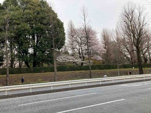 IMG_1753