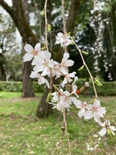 72E60932-BC33-427C-A57A-E071AE42CD3E