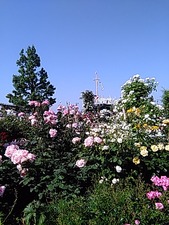 IMG_20170520_150956