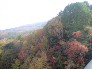 2010年10月17日紅葉の山八千穂高原