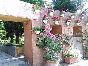 IMG_20170520_153135