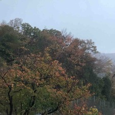 1DF7B510-D20C-41C5-8C22-0B4BE7EBEFCB