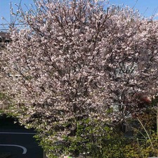 IMG_9039