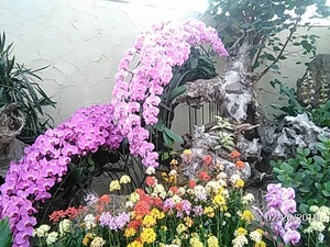 ハーブ園2
