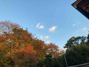 4BBF53F4-626D-443A-97F2-48DEA1EF4268