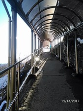 2017-12-14���֤���ƶ����ȥ��