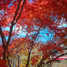 IMG_20201026_112300_268